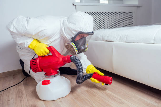 Best Pest Control Near Me in Phoenixville, PA