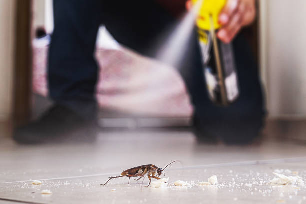 Wildlife Control Services in Phoenixville, PA