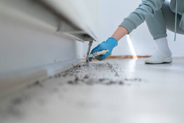 Best Flea Control Services  in Phoenixville, PA